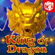 Liên hệ hỗ trợ của nn88 nhà cái