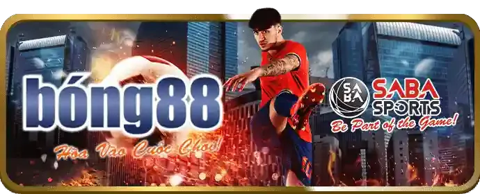 Cập nhật mới nhất từ NN88 nhà cái